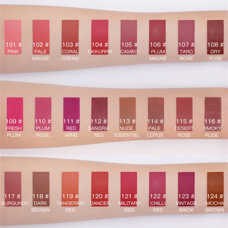 Matte Lip Gloss - Transfer-Proof 24 Shade Collection